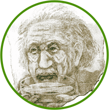 einstein